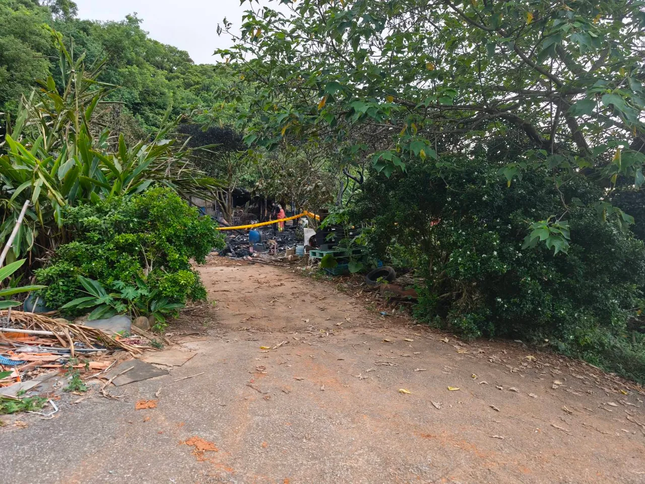 身體硬朗的黃翁堅持獨居山區,種菜養生怡然自得,卻遇火災奪去生命。翻攝畫面