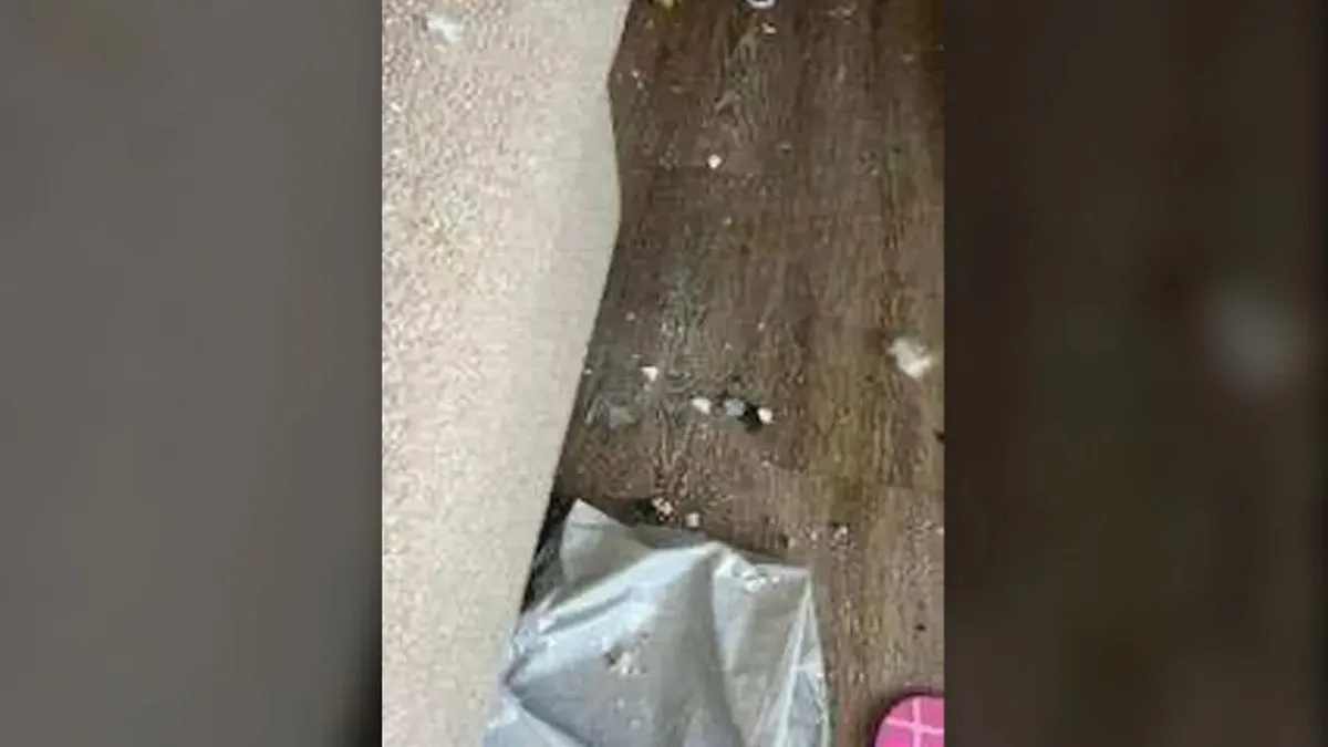 民宅主人錄下屋頂被打破後,落下的包含隕石與屋頂碎屑。福斯新聞網