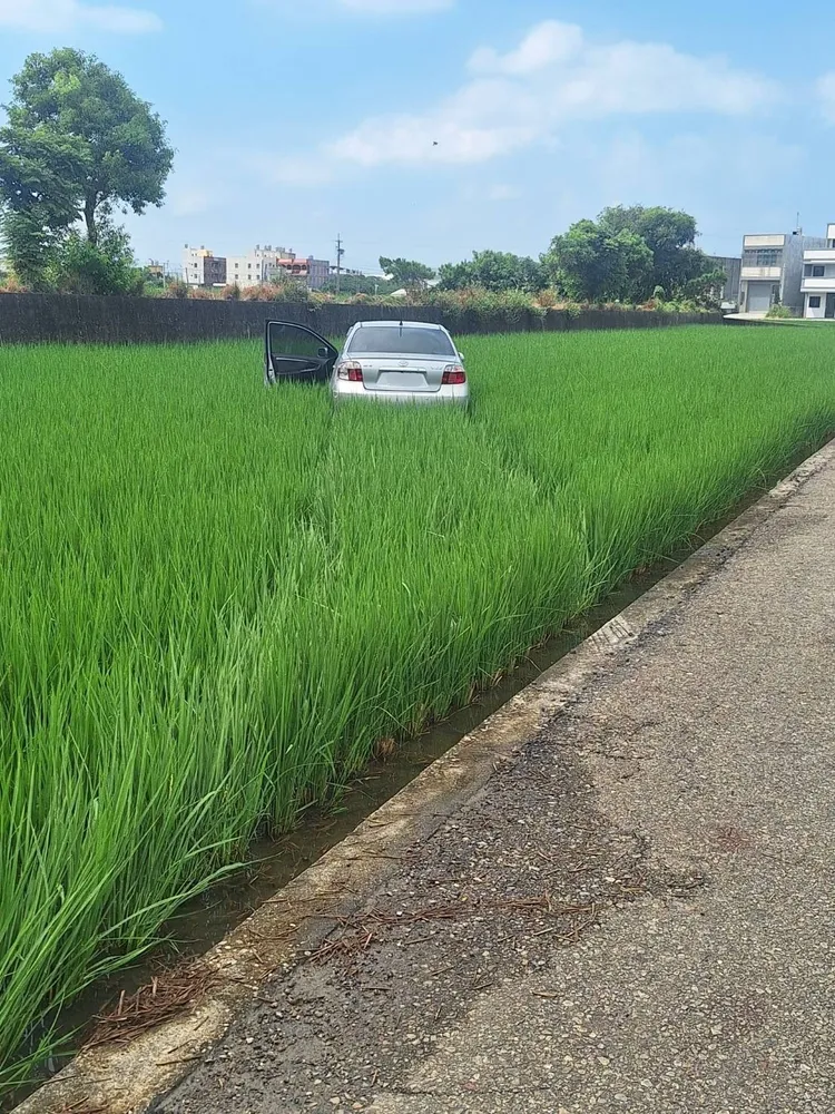 陳男整輛車置身田中。民眾提供