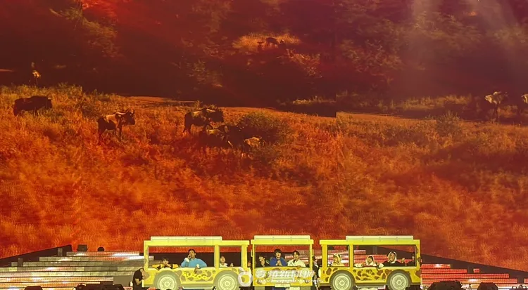 SJ坐上動物列車。讀者提供