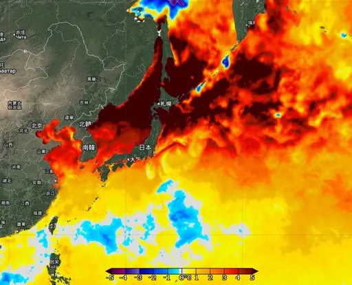 明日全台红番薯!6县市高温灯号 郑明典曝「海洋热浪」创纪录