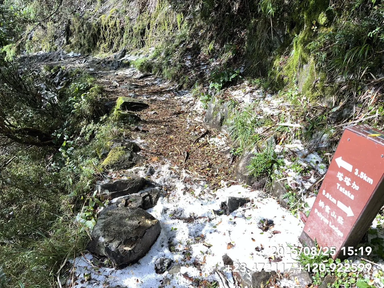 玉山步道部分路段积冰雹达到3至5公分。翻摄自玉山国家公园官方脸书
