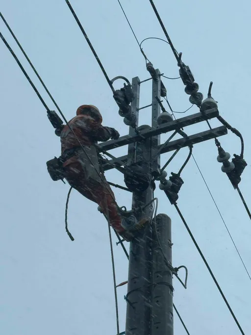 楊柳颱風釀31萬戶停電 台電4000人搶修:力拚今全數復電