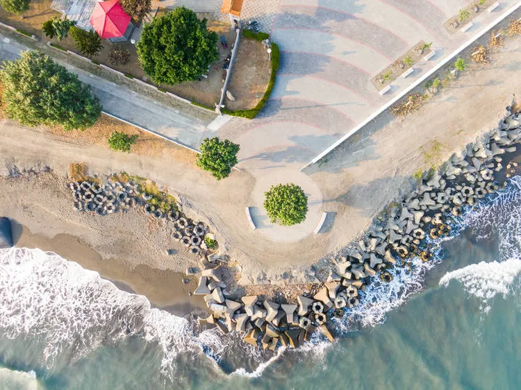 「市境之南樹」位於高雄林園東汕里。高雄市觀光局提供