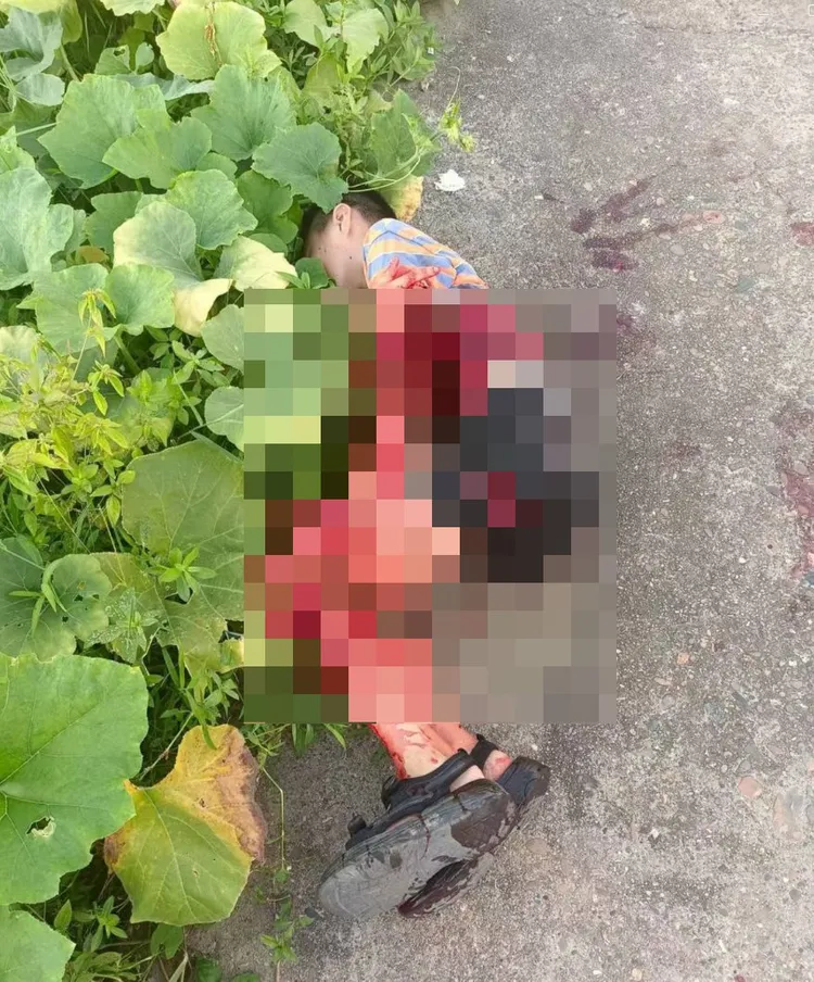 學童滿身是血。翻攝自X