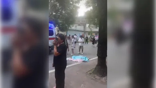 湖南小学外惊传砍人!2死3伤嫌犯落网 多童倒血泊中