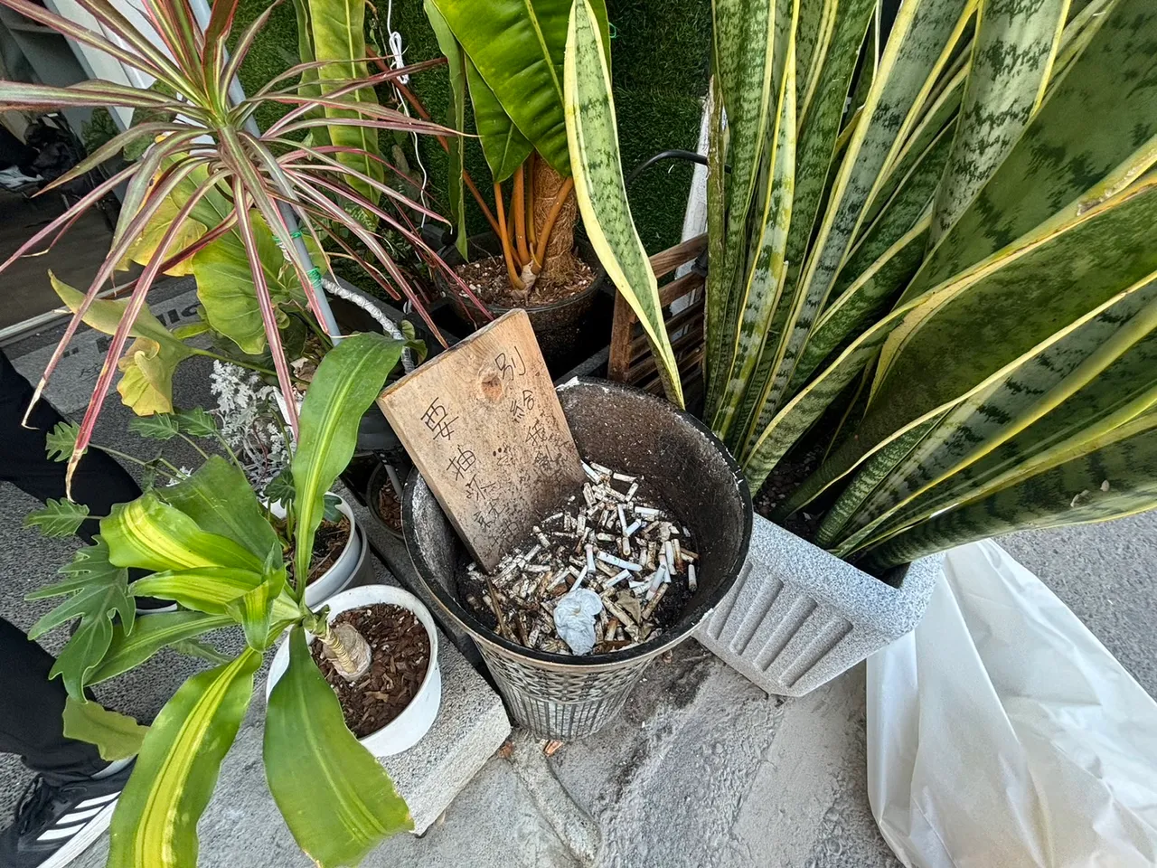 市府鼓勵店家設置特色菸蒂桶。新竹市府提供
