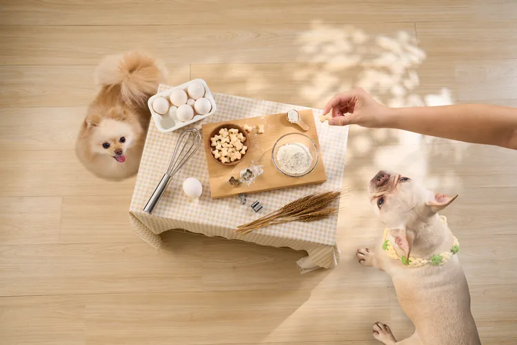 陪伴升級2.0！親自使用「寵物烘焙DIY預拌粉」下廚，為最愛的毛孩製作美味點心。業者提供