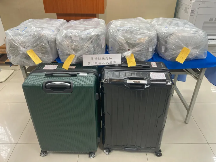 被查獲的大麻。航警局提供