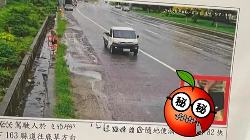 路邊解放遭罰!他竟收「高清掏鳥照」 網笑:好貴一泡尿