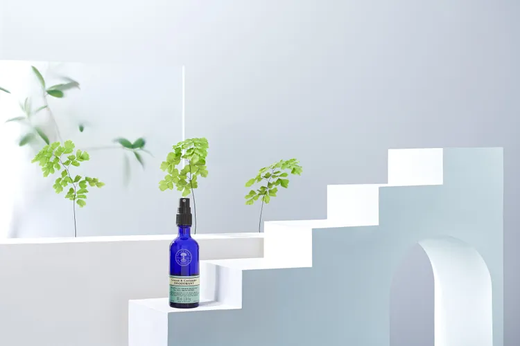 NYR尼爾氏檸檬芫荽體香噴霧，100ml／500元。品牌提供