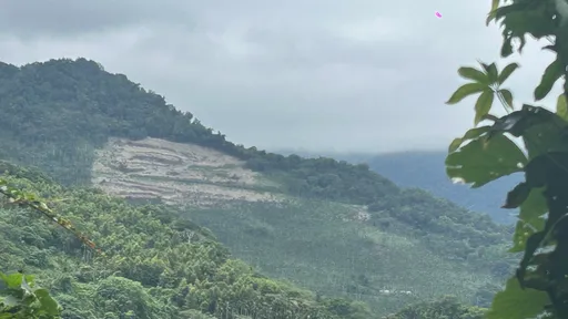 台东利家段山坡地超挖整地 县府祭出罚单送办