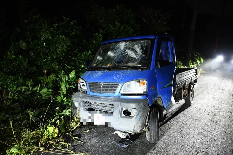 警方25日逮捕偷挖竹筍又傷人的2嫌。翻攝畫面