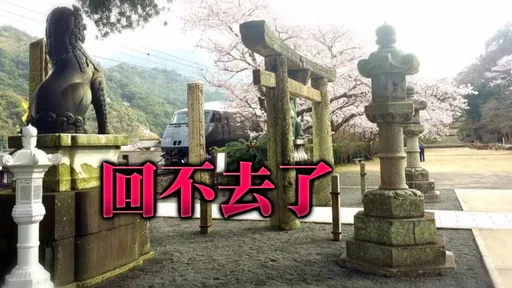 闖日本神社平交道「拍網美照被撞死」 台女身分曝光
