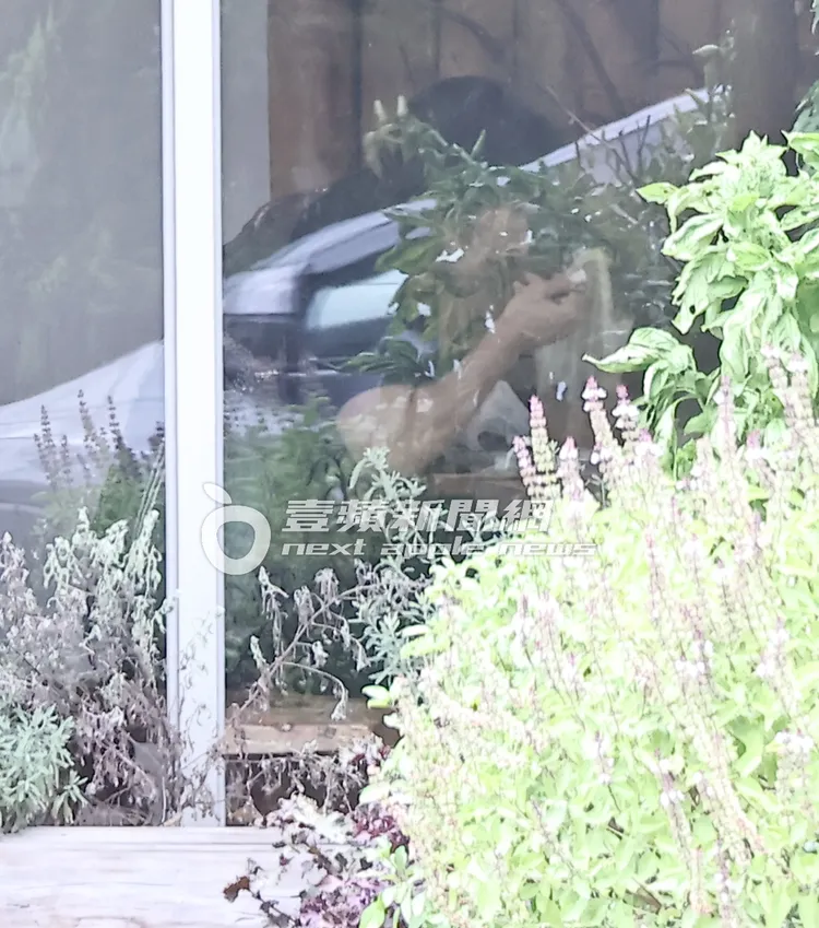 言承旭拿筷子享用素食餐點。特勤中心攝