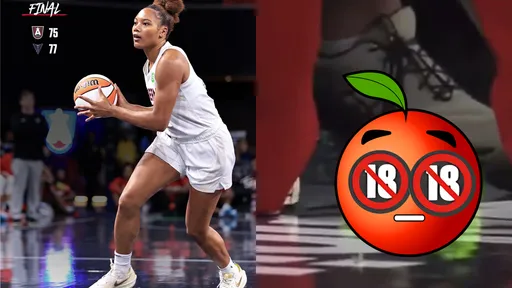 看WNBA竟把「姐夫」扔進場內 球賽喊停!惡劣球迷遭逮