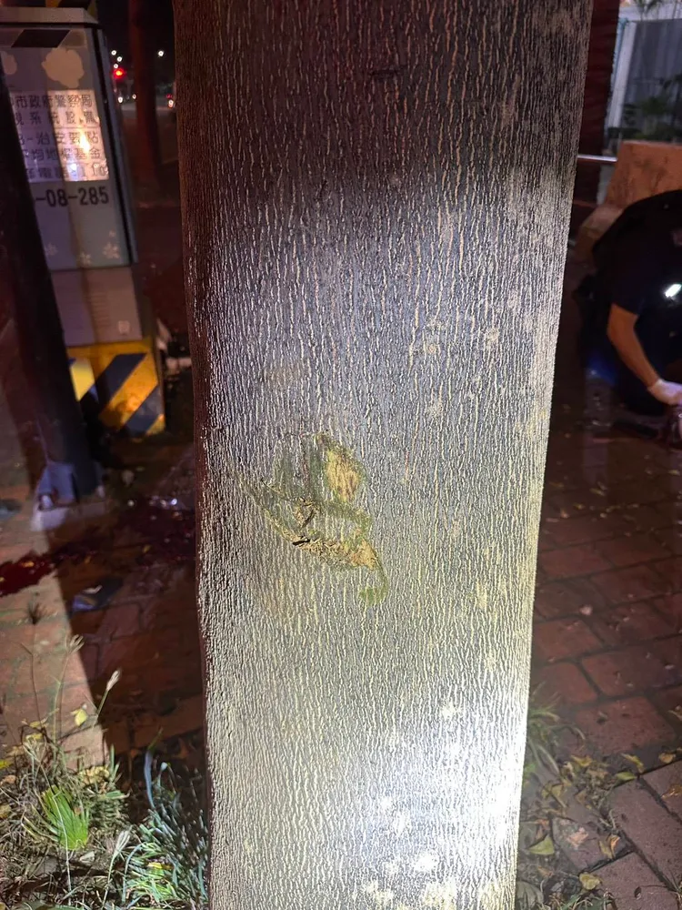 路樹留有被機車撞擊的痕跡。民眾提供