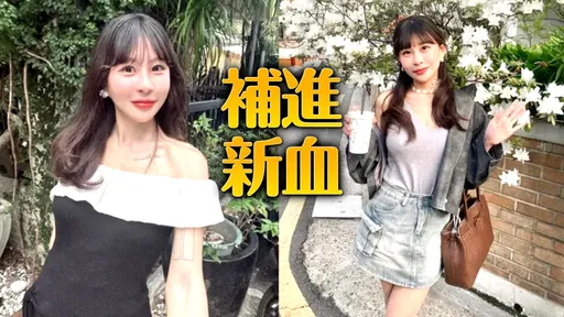 「仙塔律師」被爆悄悄另起爐灶 招攬美女律師加入