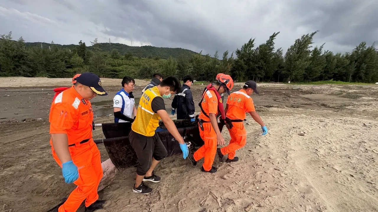 屏东县车城乡海口沙滩鲸豚受伤搁浅,海巡及刻救援。翻摄画面