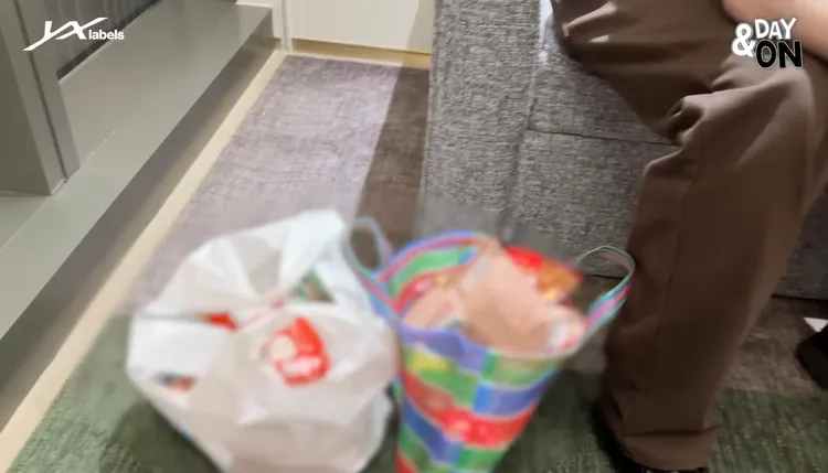 「台灣LV」茄芷袋也入鏡。翻攝YouTube