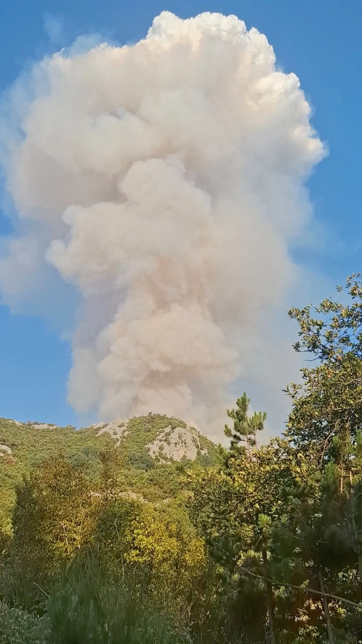 蒙特内哥罗山区的野火。路透社