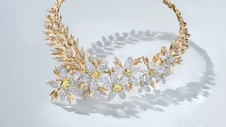 Oat & Field Star 18K白金項鍊。品牌提供