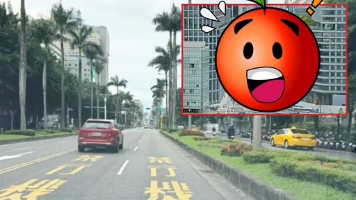 台湾马路「像极了日本」!林荫大道身世揭密 日人惊:激似这地