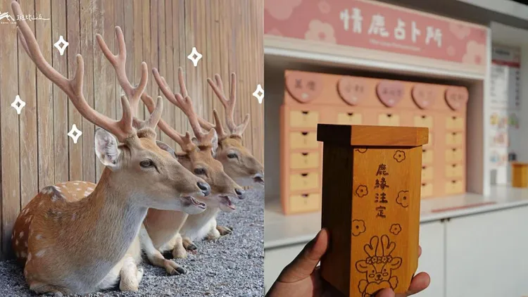 深受遊客喜愛的「情鹿占卜所」等兩大設施回歸。斑比山丘提供