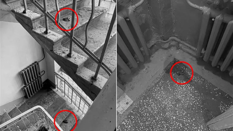 女子在多處樓房樓梯間留下排洩物。翻攝自X
