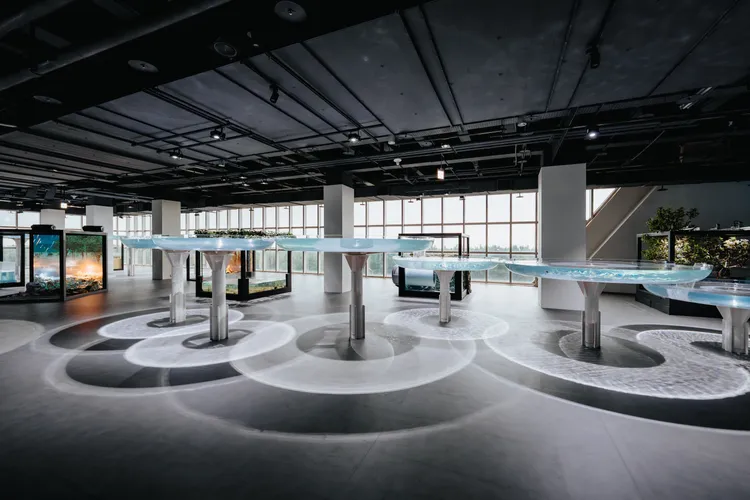 台中海洋館皆圍繞著「從台中河川流向世界之海」的概念。台中海洋館提供