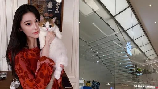 AppleStore打造玻璃階梯地板 女星直擊淫男抬頭看裙底春光
