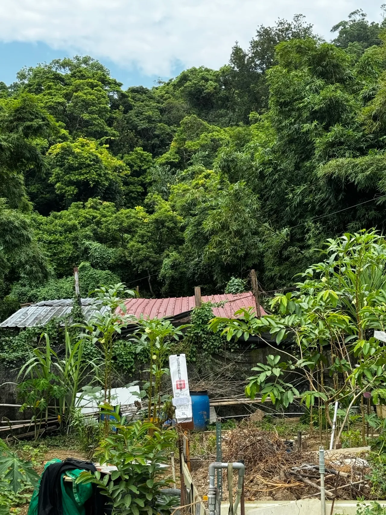 士林分署拍卖美丽华集团董事黄春照名下内湖区土地。士林分署提供