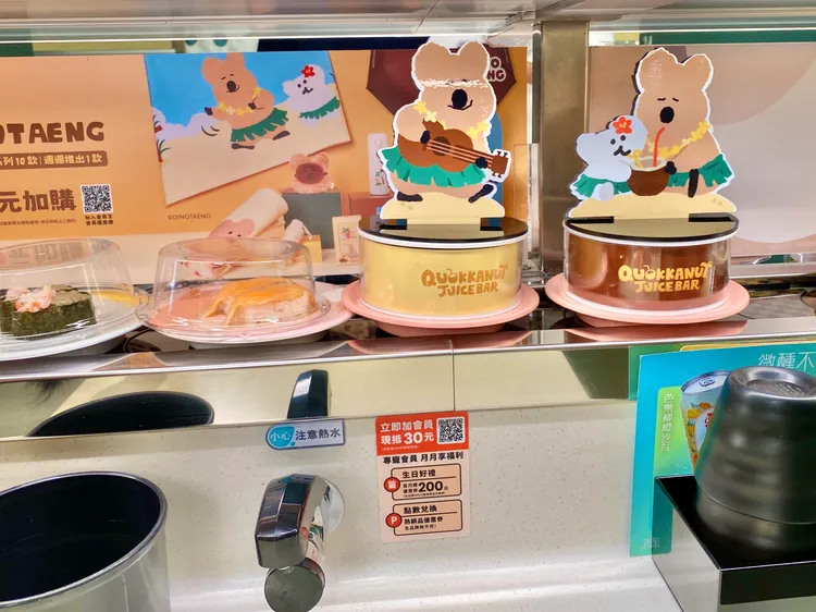 QUOKKA現身主題店壽司迴轉台。莊偉祺攝