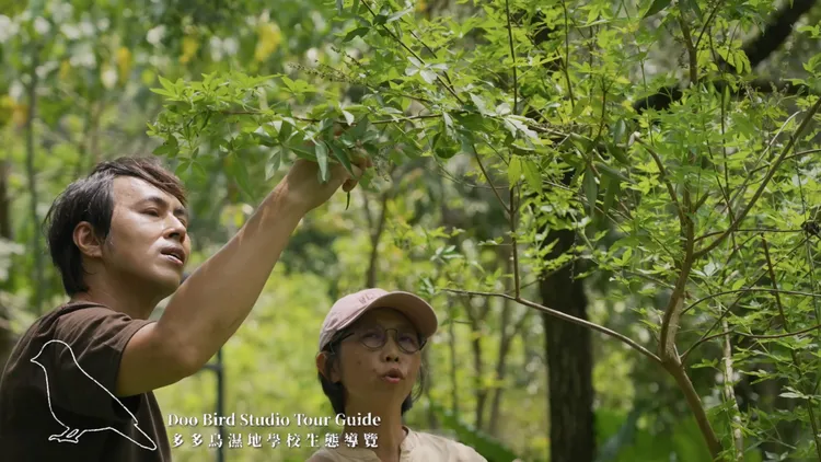 江舟航企劃拍攝《六龜探秘》，獲得2025年日本國際觀光影像節亞洲部門金獎肯定。茂管處提供