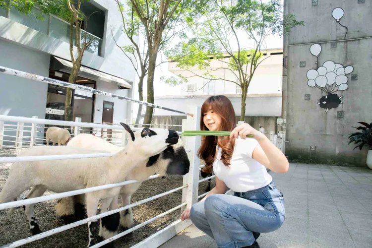 美食展推出雙人住宿券，可入住山景客房再加贈動物咖啡廳免費入園。綠舞國際觀光飯店提供