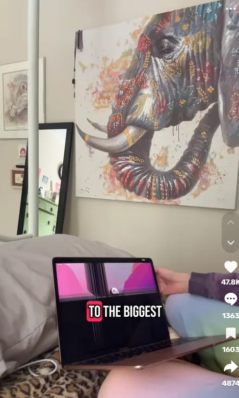 故障的笔电萤幕。翻摄自TikTok