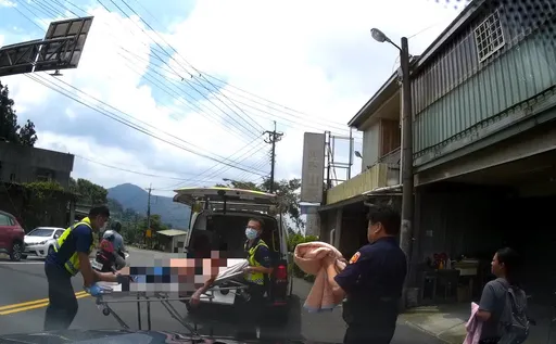 阿里山居民「捡水」惨遭蜂螫 撑到回家瘫软昏迷 警消接力抢命