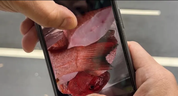 吳男出示手機中相片，反駁並無使用「邊角料」，稱食材都用好的。讀者提供