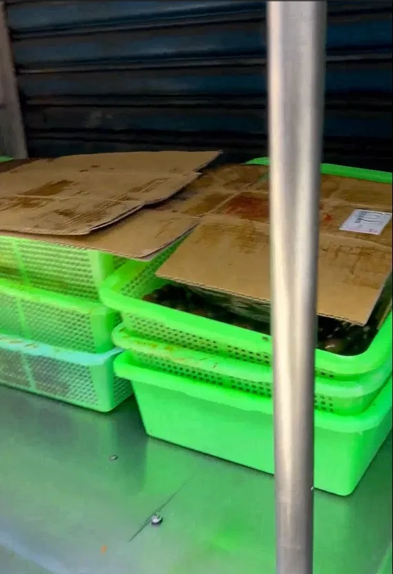 民眾指出食材僅用紙板覆蓋便隨意丟在常溫下。民眾提供