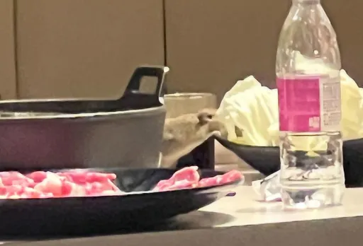 「肉多多」高雄義大店驚見料理鼠王上桌試吃!滿堂食客看傻 衛生局出手了