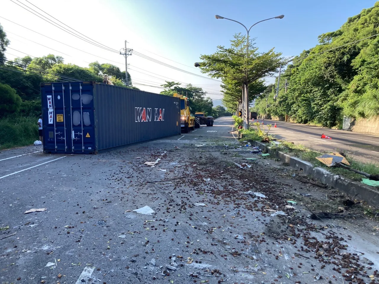 車上載運的梅子因為貨櫃破損全掉出來,弄得一地「梅味」。民眾提供