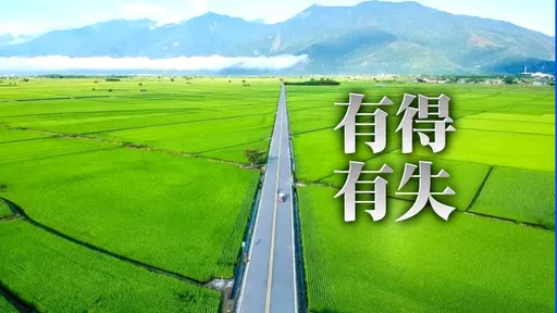 花東山海好美!她長住1年夢碎離開 揭4大殘酷真相