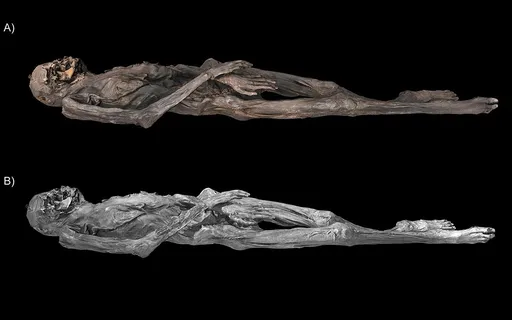 阿嬤的阿嬤好潮! 2500年女性手臂刺「雄鹿與獅鷲」