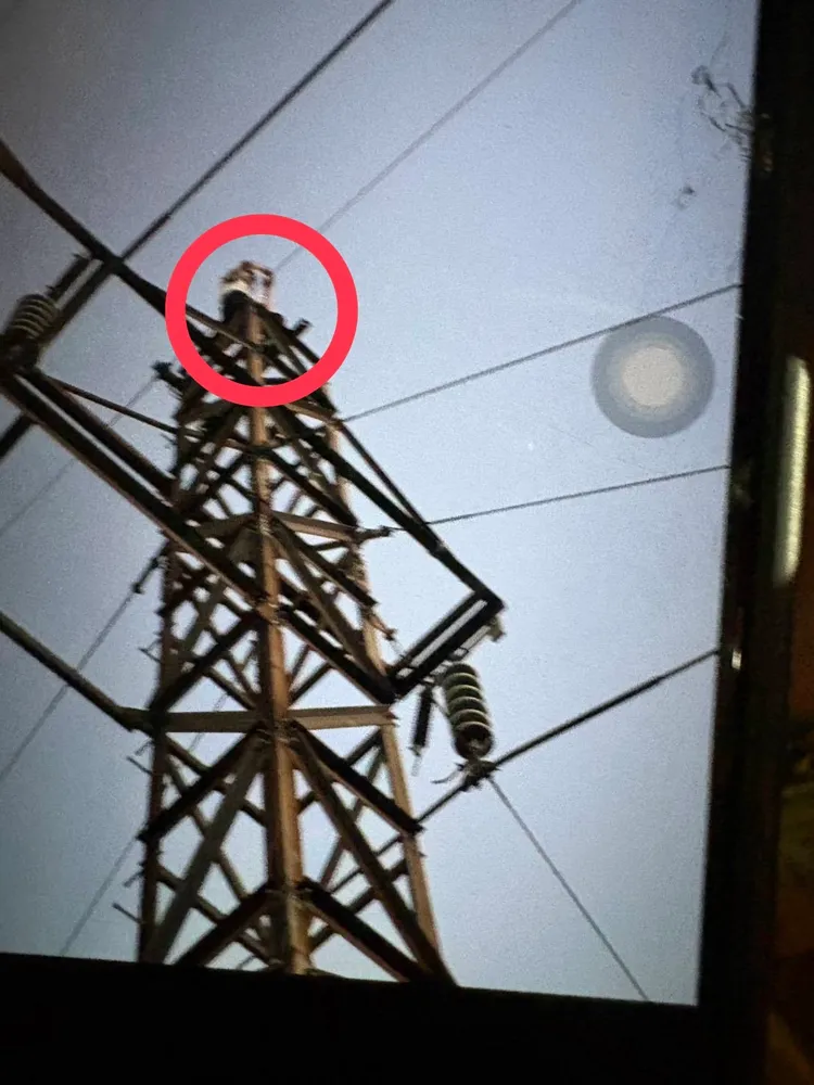 謝男爬上高壓電塔拍日落不甚觸電燒成焦屍，火星引燃森林大火。翻攝畫面