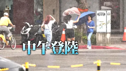 楊柳最新風力預測!北部2縣市「下午達停班課標準」