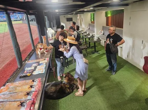 帶毛孩一起看職棒 桃園首創「棒球場寵物樂園」