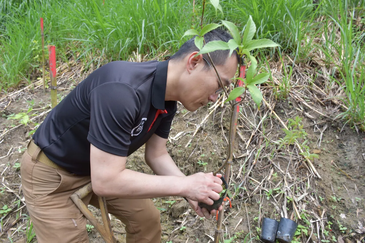 透过林地维护、草蔓管理与系统性栖地复育,台湾普利司通与林业保育署新竹分署携手为原生植物创造永续繁衍的空间。业者提供