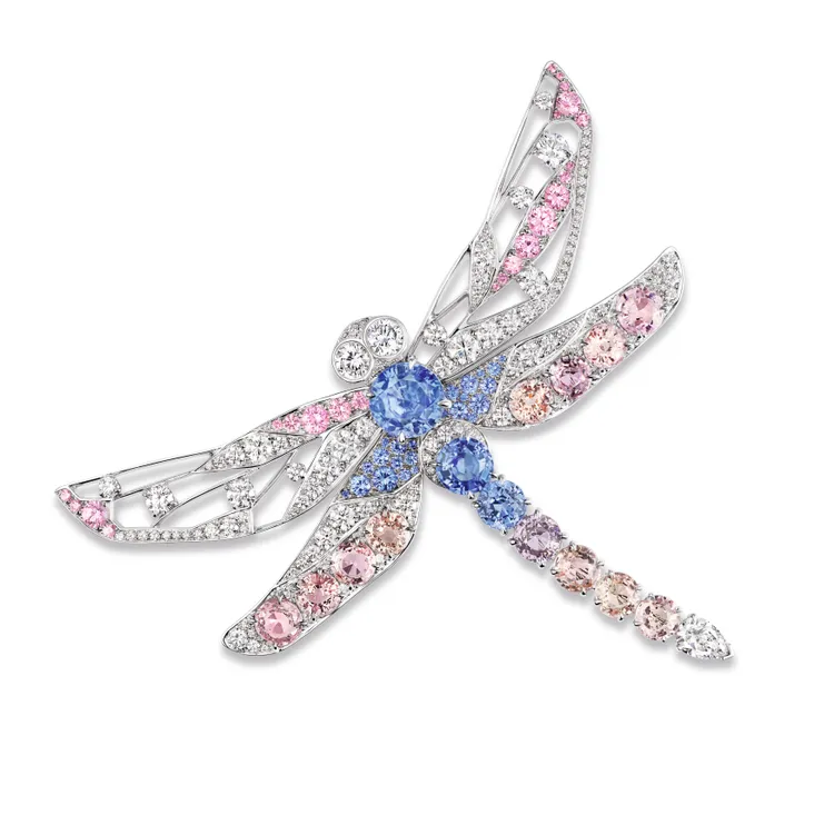 Fairy Iris 18K白金胸針。品牌提供