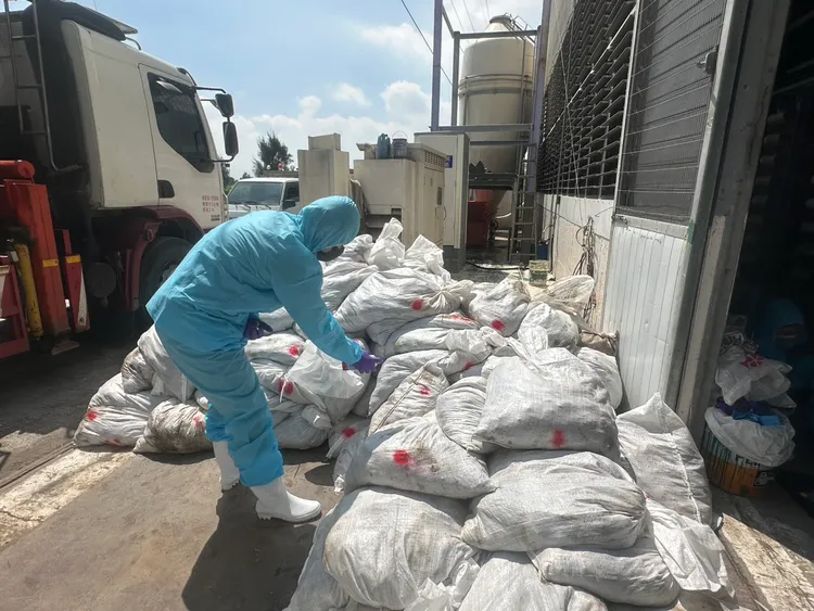 彰化縣動物防疫所完成染疫鵪鶉場撲殺清場及消毒工作，共計撲殺6萬9177隻鵪鶉。縣府提供