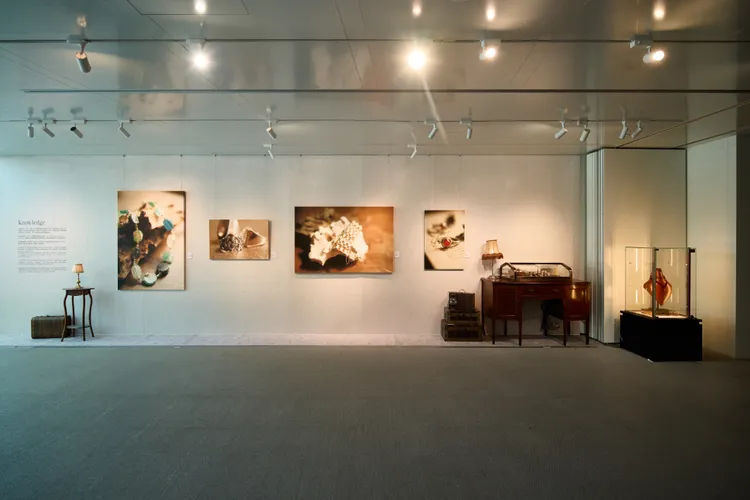 林予晞《四象，她》攝影展即日起至9月13日在台北101辦公大樓一樓Gallery101展出。品牌提供